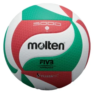 M_MVC-V5M5000L.jpgv1587213848 Ballons volleyball